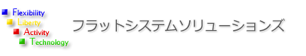フラットシステムソリューションズ